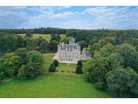 élégant château de caractère sur un domaine de 25 hectares entre