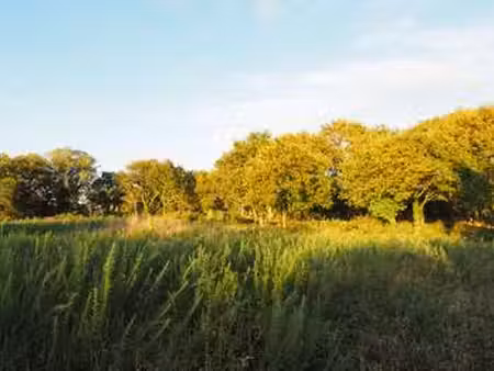 vente terrain à concarneau (29900) : à vendre / 745m² concarneau