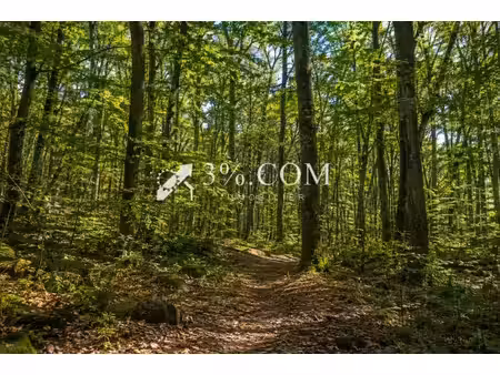 bois - terrain agricole - cirey sur vezouze