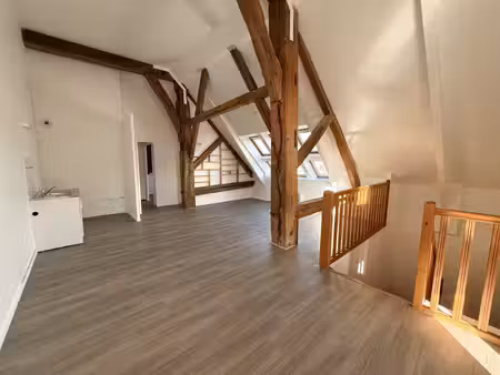 bel appartement en duplex avec box