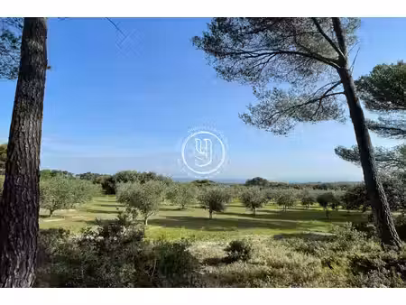 maison saint-rémy-de-provence - 5 chambres - 145m²