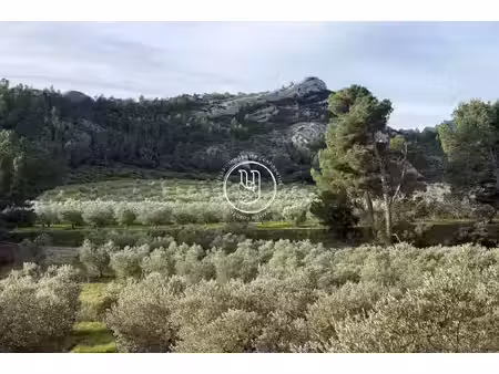 maison saint-rémy-de-provence - 800m²