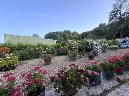 vente maison à neuvy-bouin (79130) : à vendre / 177m² neuvy-bouin