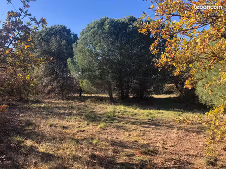 terrain agricole - 4 hectares constructible pour agriculteur