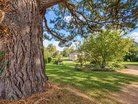 vente maison à melesse (35520) : à vendre / 100m² melesse