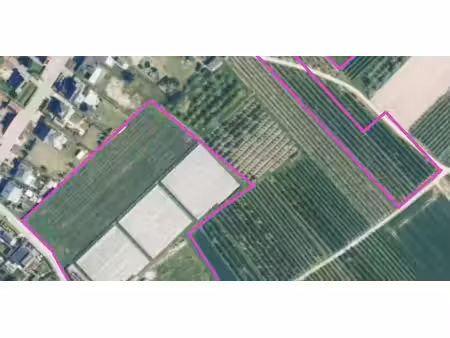 terrain agricole à vendre à zepperen pour € 320.000
