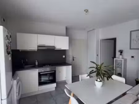 a louer castelnau - appartement t2 avec terrasse et parking