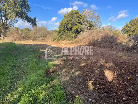 exclusivité terrain chaumes en retz 671 m2
