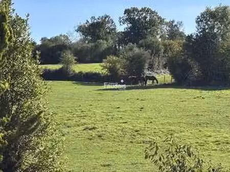 vente maison à saint-georges-d'elle (50680) : à vendre / 141m² saint-georges-d'elle