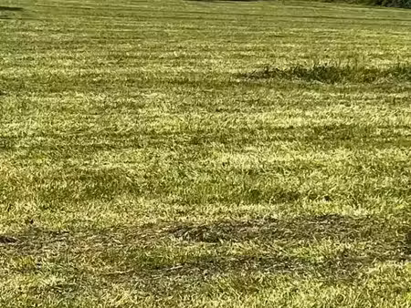 vente terrain 500 m² à châteaubernard (16100)  49 000 €