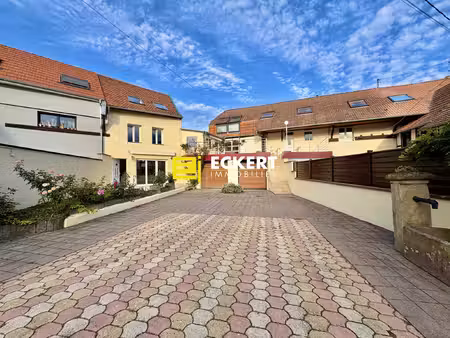 ittenheim – ensemble immobilier de 2 logements – piscine cou