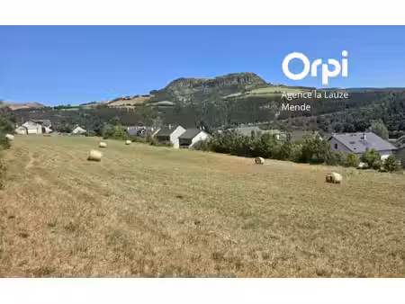 terrain chirac m² t- à vendre  300 000 €