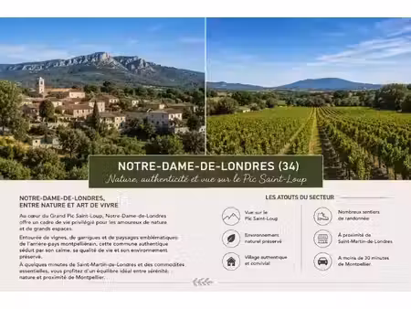 vente terrain 305 m² à notre-dame-de-londres (34380)  154 000 €