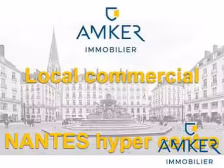 vente bureaux et commerces à nantes (44000) : à vendre / 60m² nantes