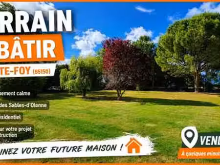 vente terrain à sainte-foy (85150) : à vendre / 1510m² sainte-foy