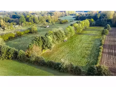 terrain agricole