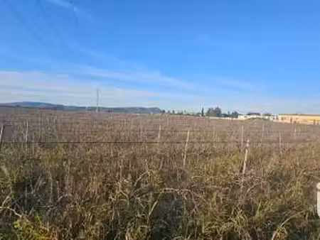 vente terrain à codolet (30200) : à vendre / 9795m² codolet