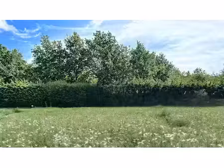 vente terrain 554 m² à bussy-saint-martin (77600)  319 000 €