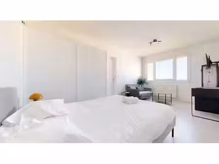 magnifique studio de 32m² - avenue roberto   villeurbanne