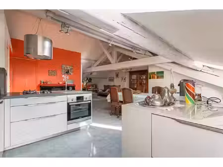 un esprit loft sous les toits  un lieu à part à lyon - 105 m2 - 416000 €