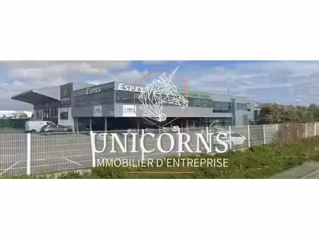 location entrepôt 1000m² à 3900m²