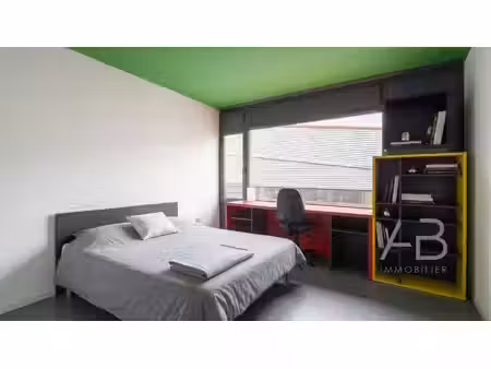 idéal investisseur ! studio vendu loué