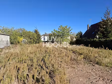 terrain