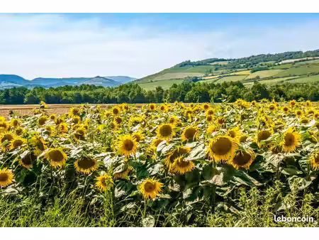 terrain 768 m² asfeld