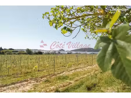 propriété 100 m² gruissan