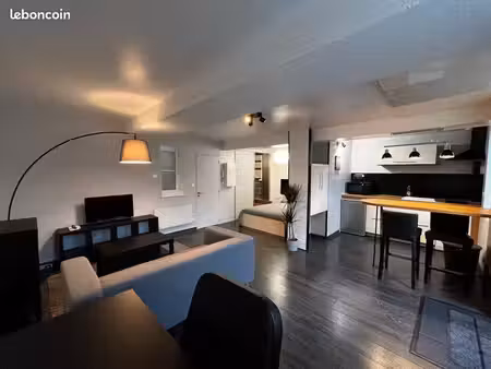 studio meublé 35m2 - hypercentre | rue caponière