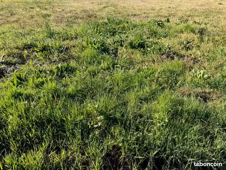 terrain 1 200 m² nercillac