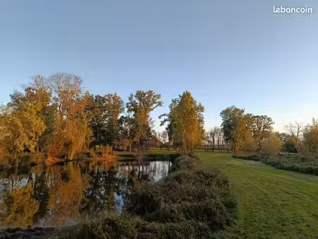 terrain avec étang