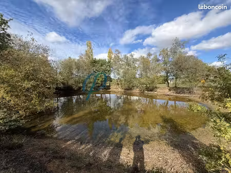 terrain 6096 m² mauges-sur-loire