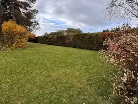 beau terrain