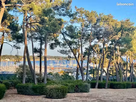 vue rare sur la trinité sur mer