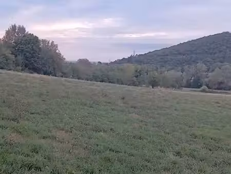 terrain agricole