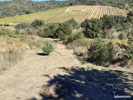 terrain agricole