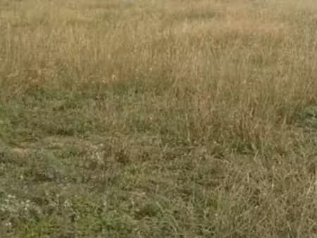 terrain agricole zone a thuir 3025 m²