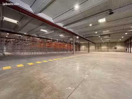 local logistique 16 895 m²