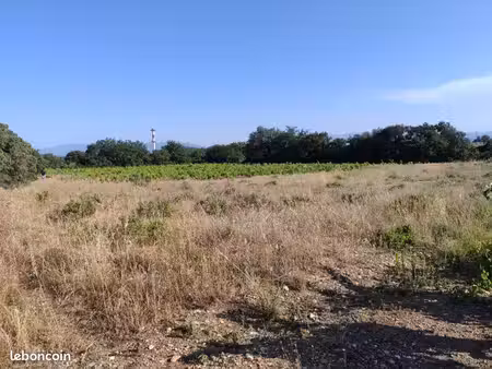 terrain à vendre proche baho