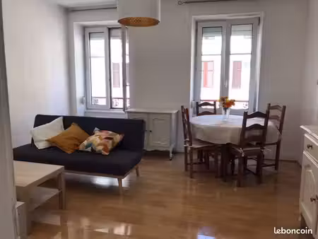 rare à la location – appartement meublé avec jardin privatif – centre de mulhouse