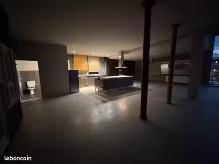 coup de cœur loft atypique de 230 m² à bartenheim - verrière - climatisation 3 parkings