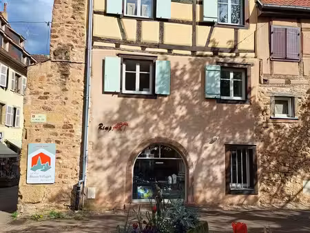 local 113 m² eguisheim