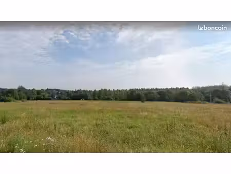 terrain à bâtir de 1274 m² à saint-cosme-en-vairais (72)