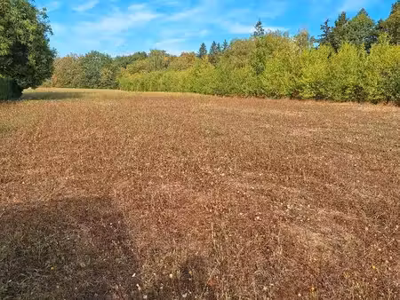 terrain jardin