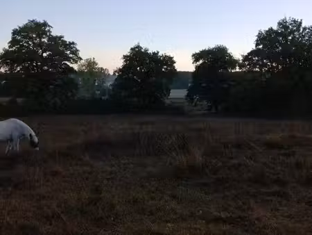 cherche terrain agricole