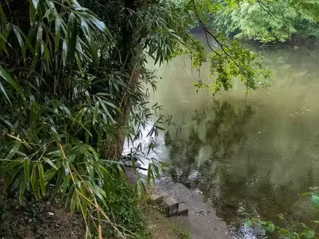terrain au bord de l'eau