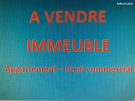 nemours ( local commercial et appartement )