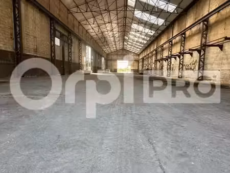 local d'activité 700 m²