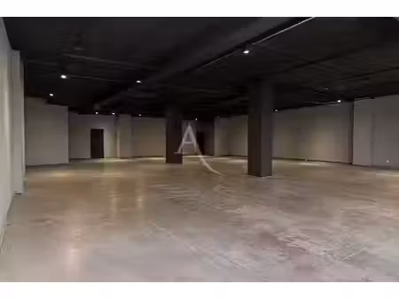 location locaux professionnels 0 pièces 250 m² à toulouse (31000)  2 895 €
